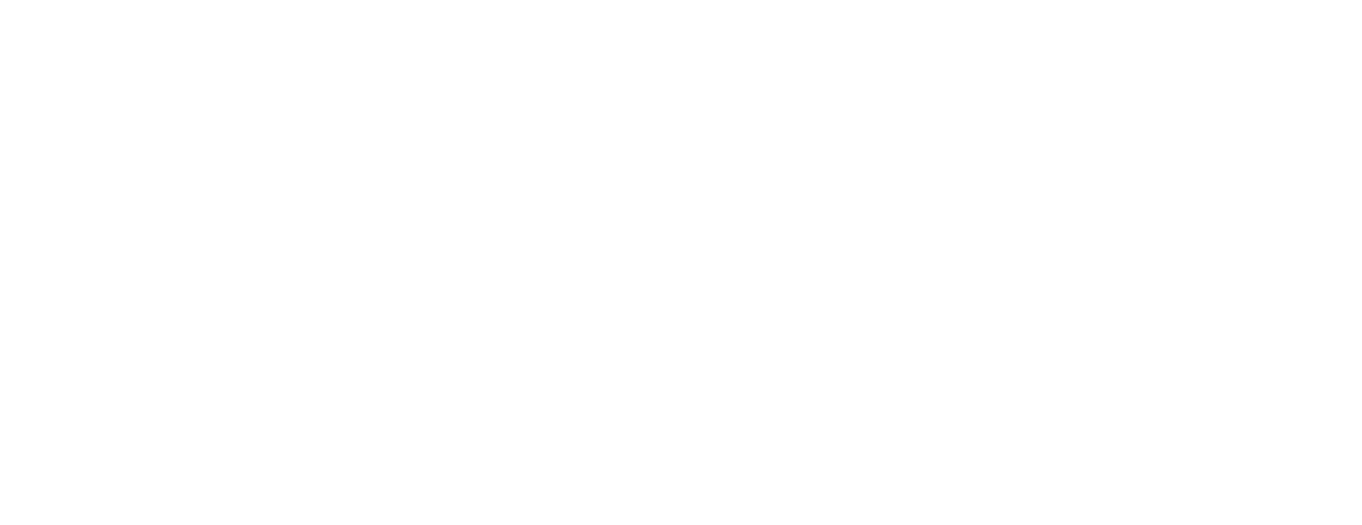 Pluma logo